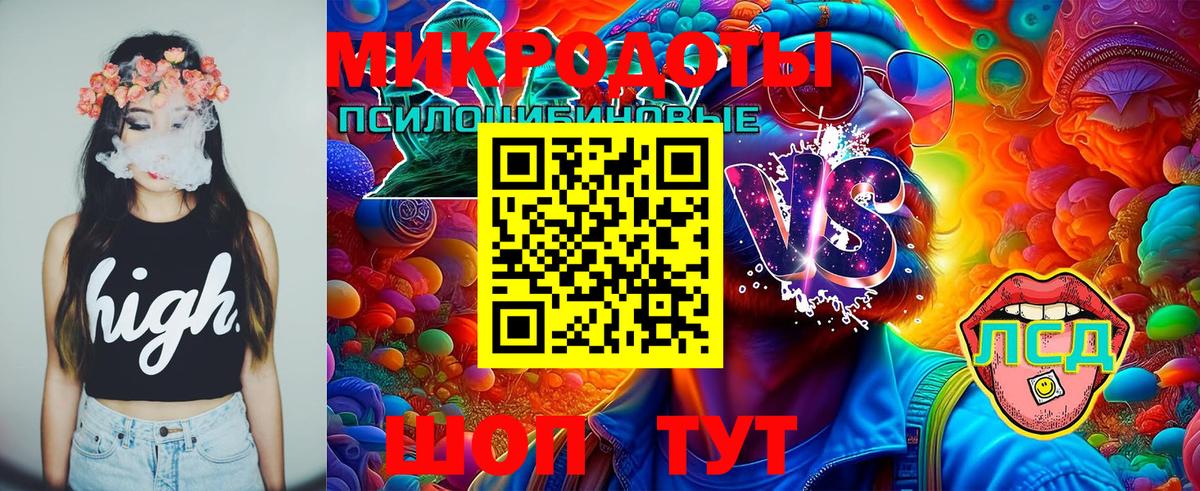 Галлюциногенные грибы GOLDEN TEACHER  Вход с VPN  Новочеркасск 
