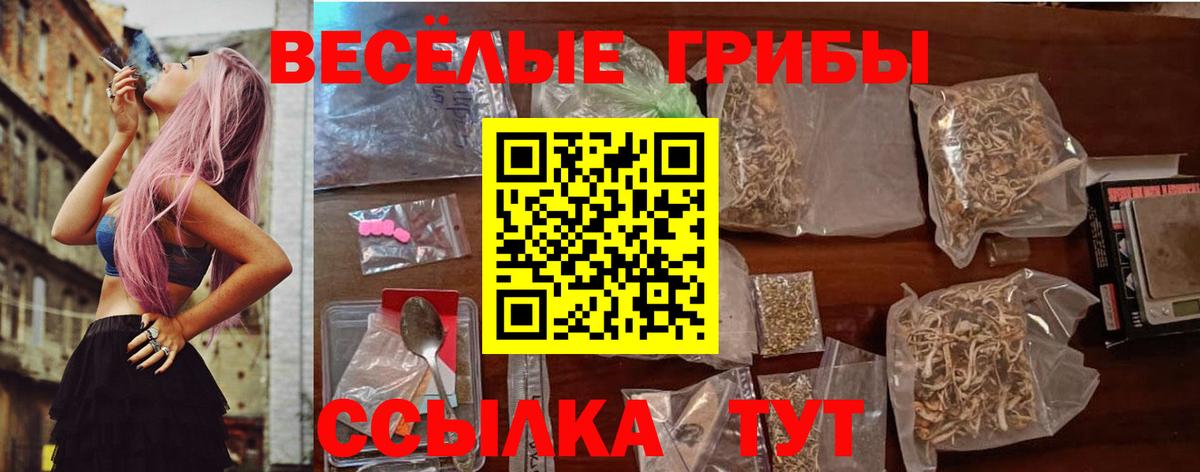 Псилоцибиновые грибы Cubensis Новочеркасск